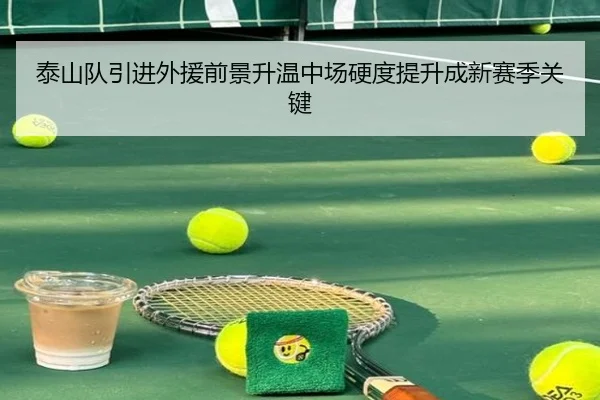 泰山队引进外援前景升温中场硬度提升成新赛季关键