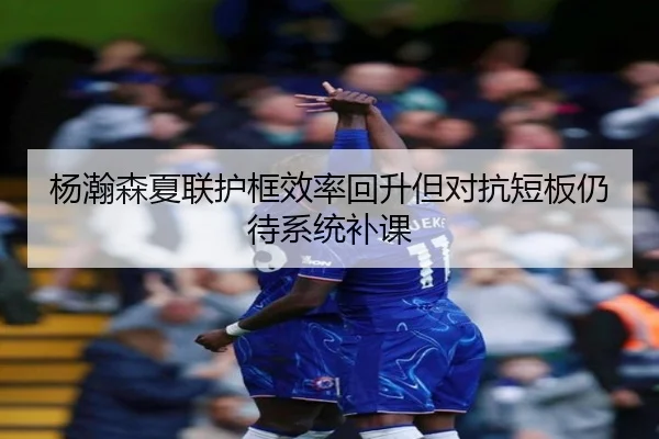 杨瀚森夏联护框效率回升但对抗短板仍待系统补课